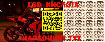 прущие крисы Можга