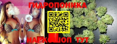 стафф Мариинск